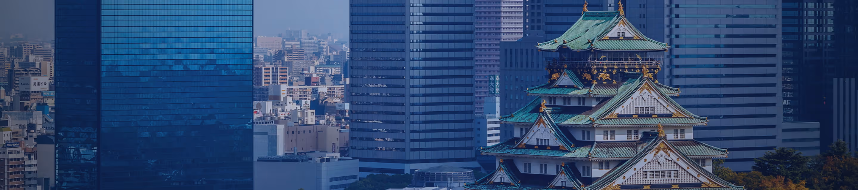 Company Introduction